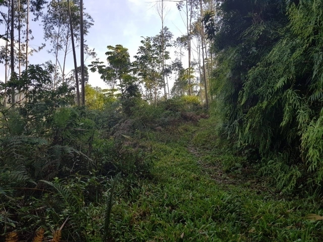Áreas para sitios em Botuverá de 2/ 3/ 4/ 7/ 9.000m²
