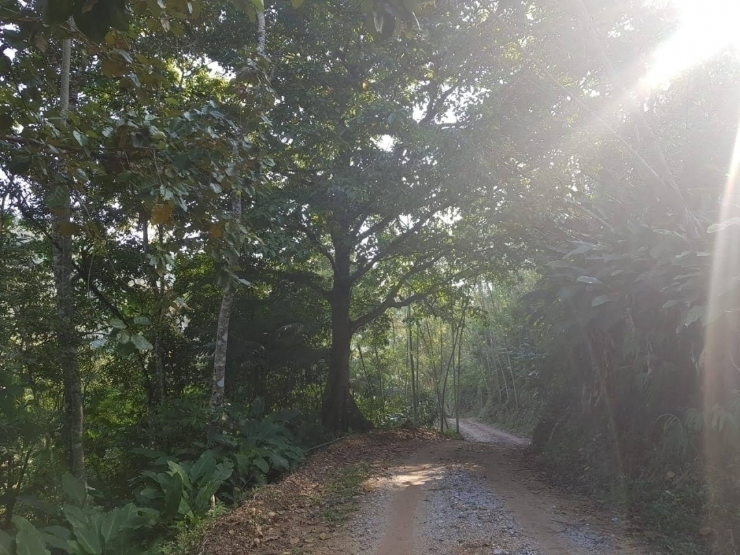 Áreas para sitios em Botuverá de 2/ 3/ 4/ 7/ 9.000m²