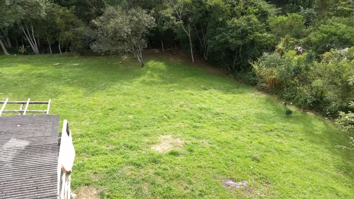 Ótimos terrenos no bairro Ilhota em Itapema