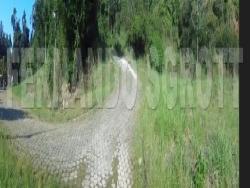 Terreno para Venda em Porto Belo - 5